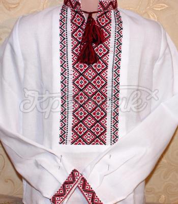 Українська вишиванка  на хлопчика " Два кольори 2" Ірпінь