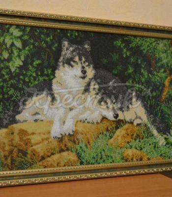 Вышитая картина "Пара волков" купить интернет-магазин