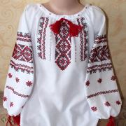 Жіноча вишиванка "Червона нитка" 2 купить