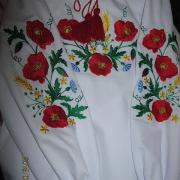 Вишиванка для дівчинки "Польові квіти"